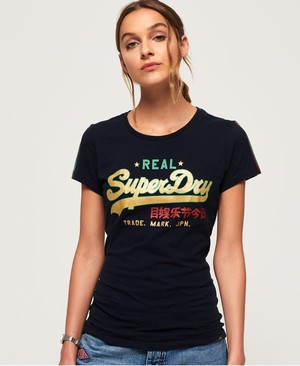 Superdry Vintage Logo Regal Slv Stripe Női Pólók Szürke | DRFMS1840